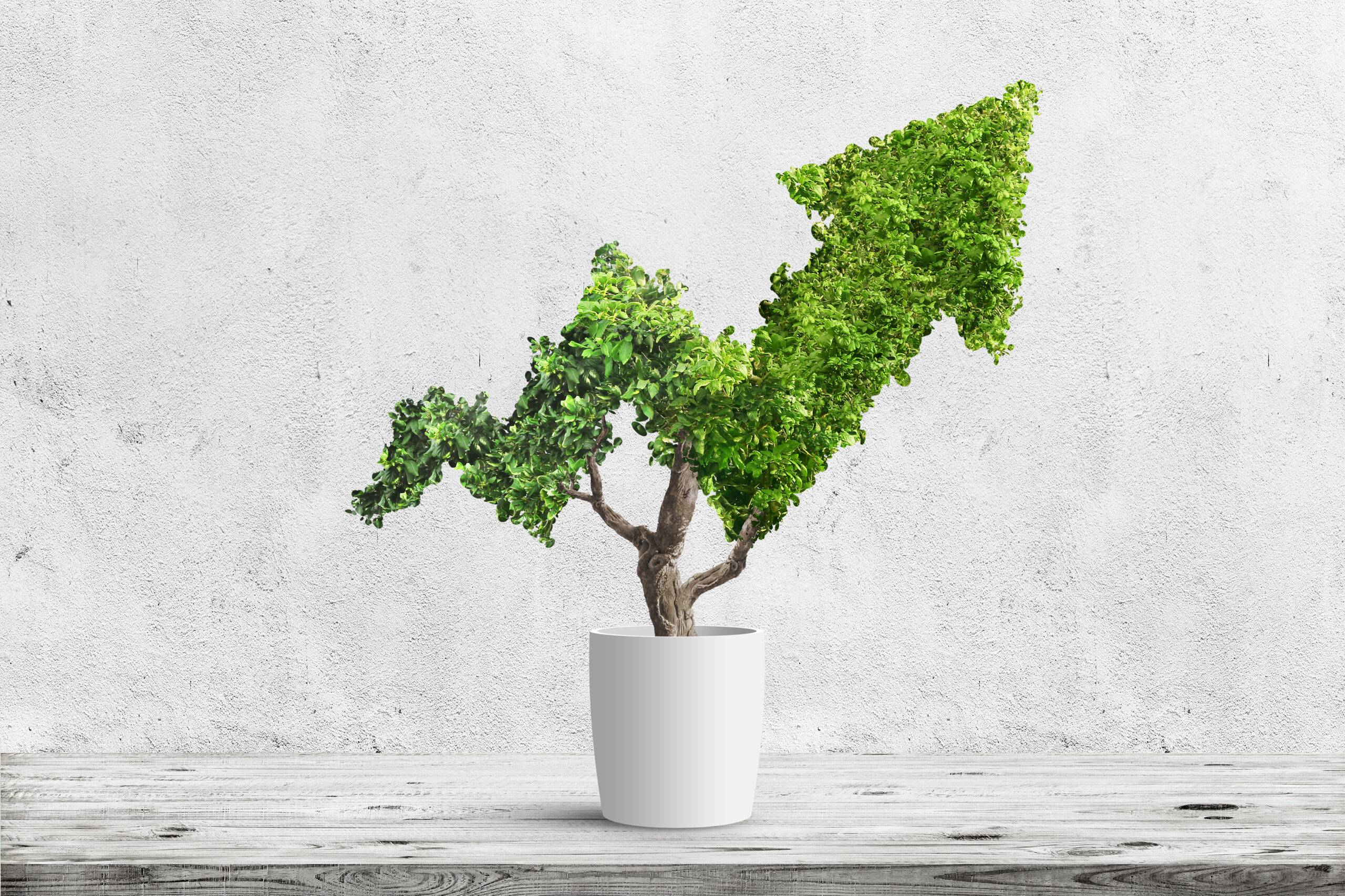 AdobeStock 192983642 scaled